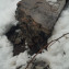 PHOTO-2021-02-19-13-53-03 (7)